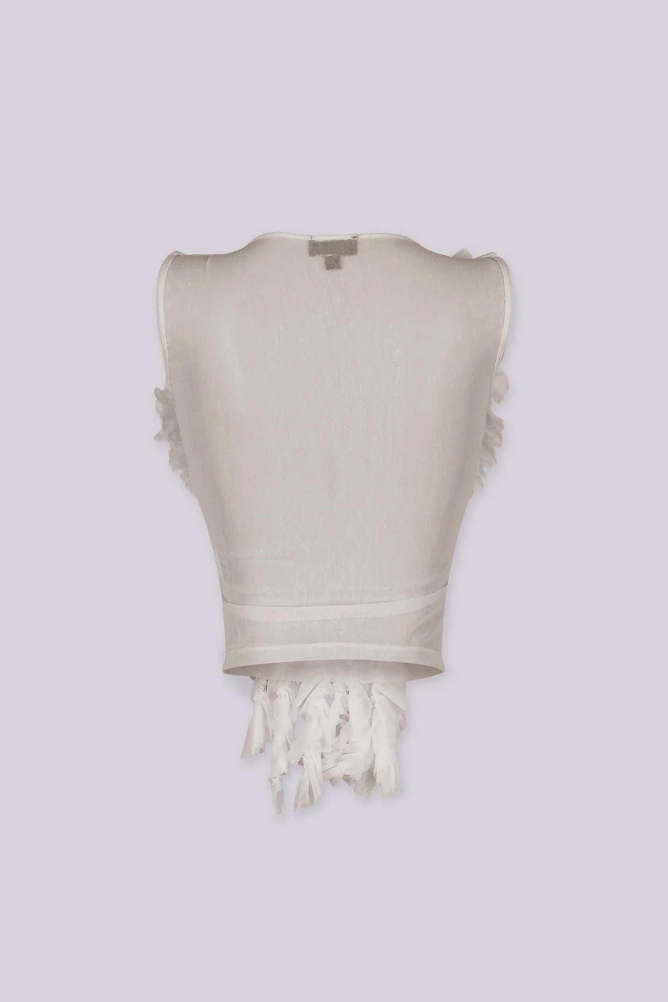 Rawness Sheer Blouse Top - Image 3